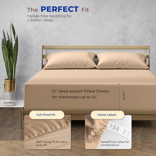 Thread Spread 100% Egyptian Cotton Queen Fitted Sheet Only - Luxury