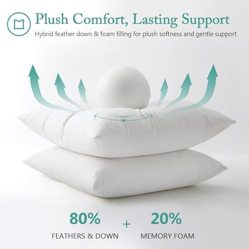 BPC Luxury Feather Down 20x20 Pillow Inserts Set of 2, Soft Fluffy