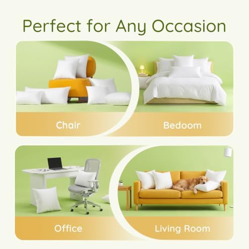 Ashler 18 x 18 Pillow Inserts, Hypoallergenic Throw Pillows Insert,Set