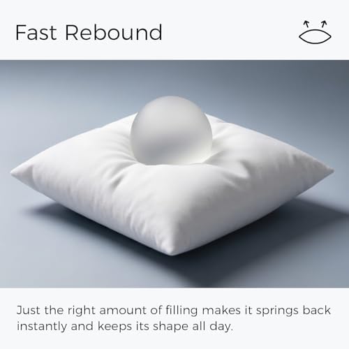 Phantoscope 18x18 Pillow Inserts, Decorative Throw Pillow Bed Couch