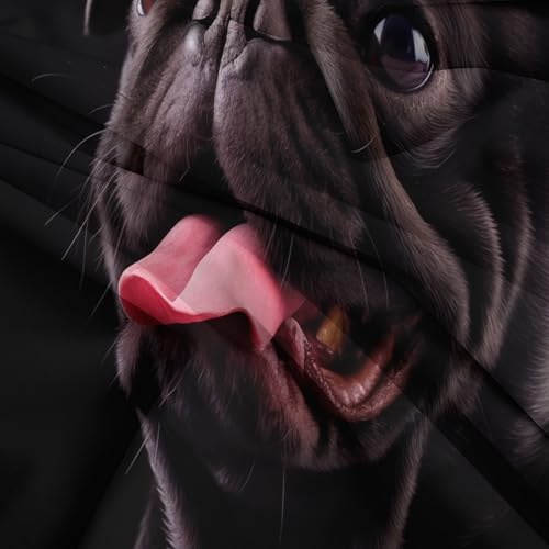 California King Duvet Cover Set Animal Pug Playful Soft Microfiber