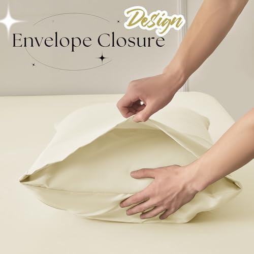 VACVELT 2pc Beige Pintuck Pillow Shams Queen, Envelope Closure
