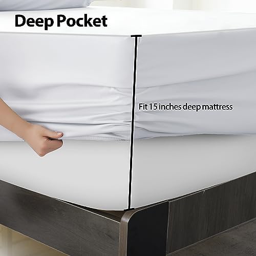 100% Egyptian Cotton Twin XL Size Fitted Sheet, 600 Thread Count