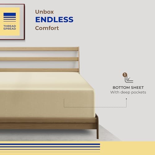 Thread Spread Twin XL Fitted Sheet Only - 100% Egyptian Cotton 600