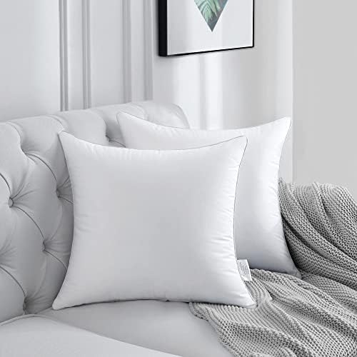 FAVRIQ 20 x 20 Pillow Inserts (Set of 2) - 20 Inch Square Interior