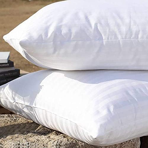 EvZ Set of 2 Overstuffed Pillow Inserts 18x18 - Premium Soft Square