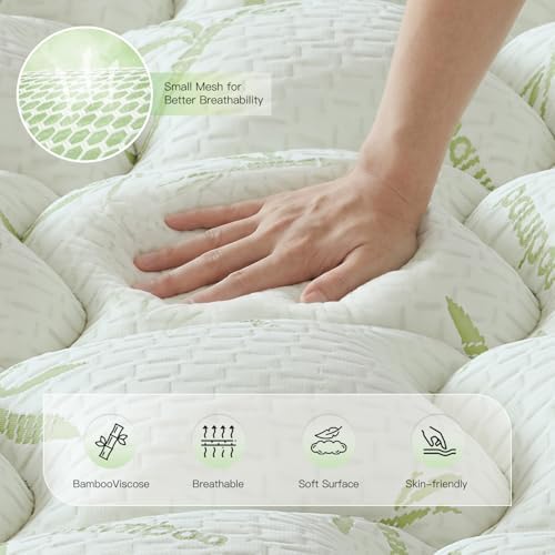 HomKdom 3 Inch Queen Mattress Topper, Pressure Relieving for Back &