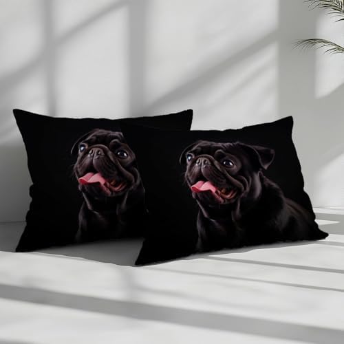 California King Duvet Cover Set Animal Pug Playful Soft Microfiber