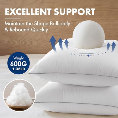 MIULEE 20x20 Inch Pillow Inserts Pack of 2 with Textured Woven Fabric