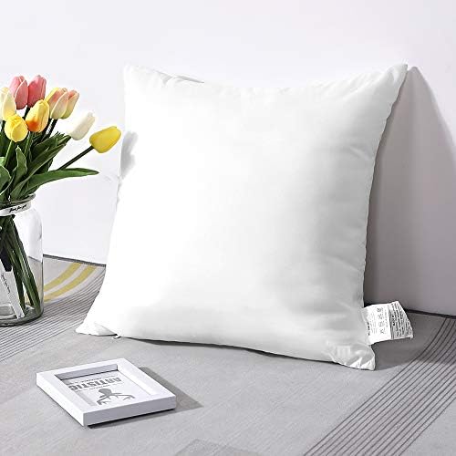 OTOSTAR 20x20Inch Throw Pillow Inserts, Set of 2 Square Form Cushion