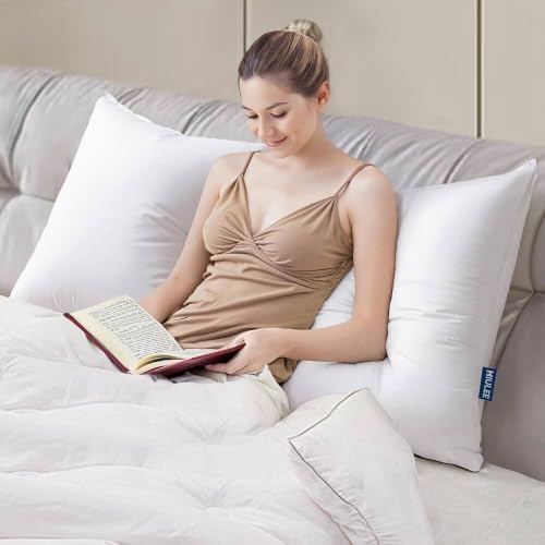 MIULEE 20x20 Throw Pillow Inserts,Set of 2 Decorative Pillow Inserts