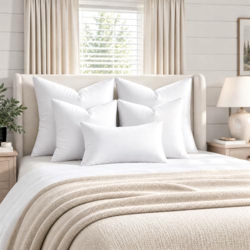 MIULEE 20x20 Pillow Insert, Premium Throw Pillow with Virgin Fiber