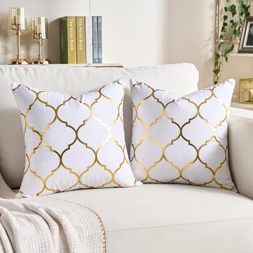 Pack of 2 Gold Velvet Decorative Pillow Covers White 20x20 Modern