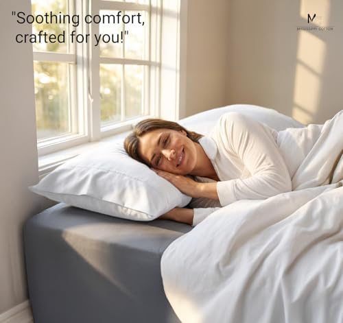 Light Grey Set of 4 Standard Queen Pillow Cases, Single-Ply Premium