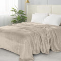 Elegant Comfort Luxury Velvety Softness Fuzzy Plush Micro-Velour