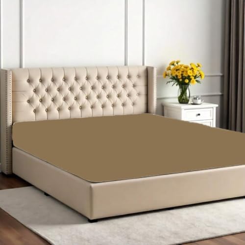 Taupe Queen Fitted Sheet Only 1PC 100% Egyptian Cotton 800 Thread