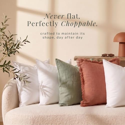Hearth & Harbor 20x20 Pillow Inserts Set of 2 – Square Throw Pillow