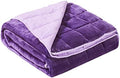 Satwip Weighted Blanket 10 Pounds Purple Fuzzy Warm Flannel Bed