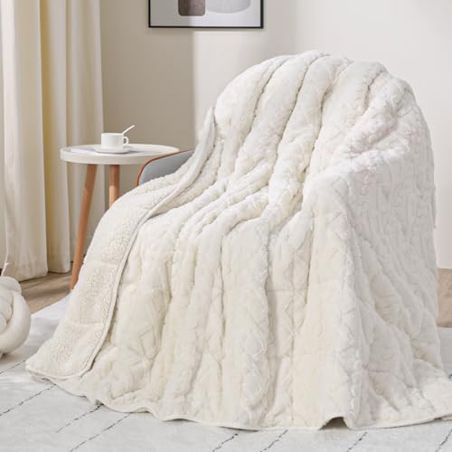 Drewin Weighted Blanket 15lbs Queen Size for Adults,Cream White,60" x