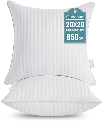 Oubonun 20 x 20 Throw Pillow Inserts Set of 2