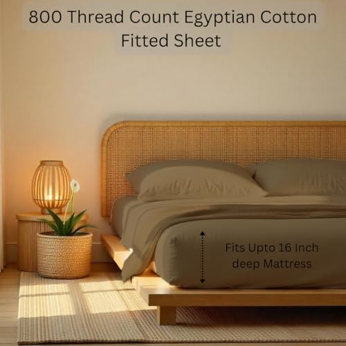 Taupe Queen Fitted Sheet Only 1PC 100% Egyptian Cotton 800 Thread