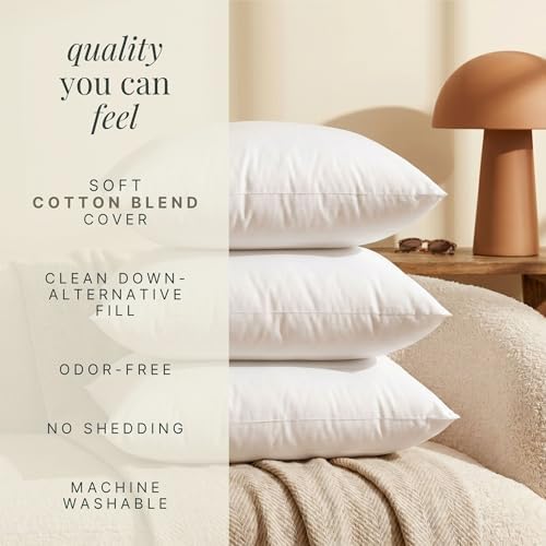 Hearth & Harbor 20x20 Pillow Inserts Set of 2 – Square Throw Pillow
