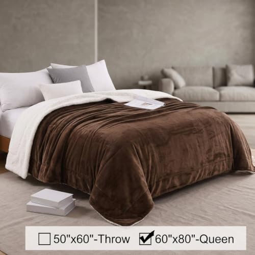 Thick Warm Light Grey Sherpa Blanket, 60"x80", Super Soft Fuzzy