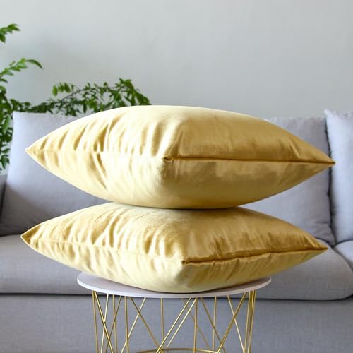Hibate 2 Pack Soft Velvet Couch Throw Pillow Covers 20x20 Inch for
