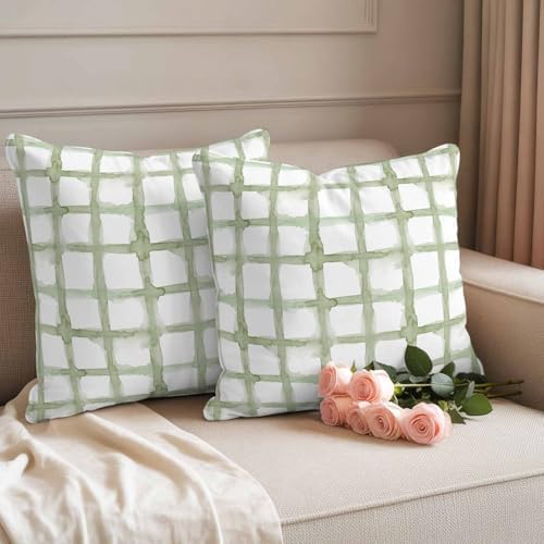 Outdoor Throw Pillow Covers,Retro Geometric Sage Green Check