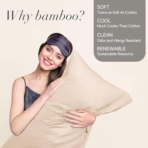 BEDELITE King Pillow Cases Set of 2, Rayon Derived from Bamboo, Taupe