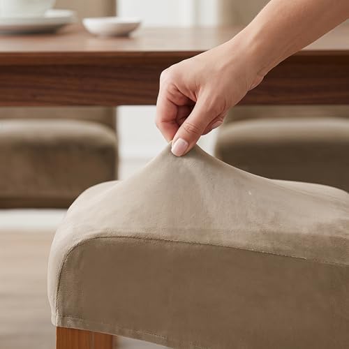 Stretch XL/Oversized Extra Large Velvet Dining Room Chair Covers for