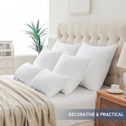 Leeden 20x20 Throw Pillow Inserts Set of 2, Pillow Forms for Couch