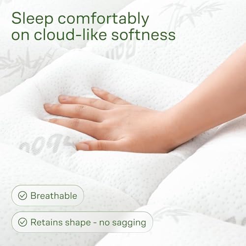 Niagara Sleep Solution Queen Ultra Soft Mattress Topper — Back Pain