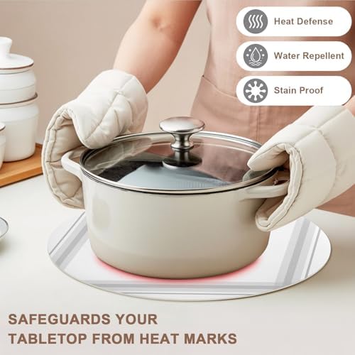 Minimalist Grid Faux Leather Placemats Set of 6, 15in, Waterproof Heat