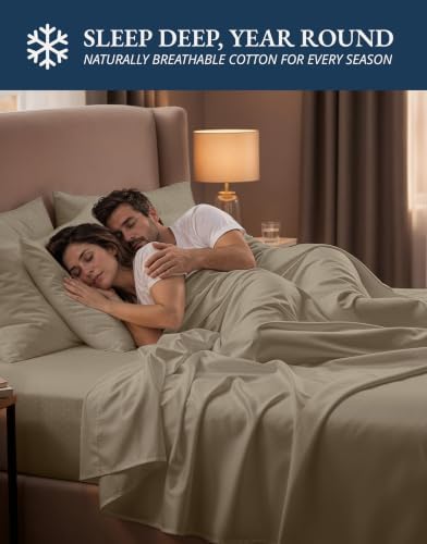 LANE LINEN Twin XL Bed Sheets 100% Egyptian Cotton Sateen - Taupe