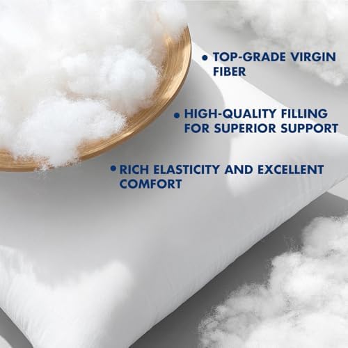 MIULEE 20x20 Pillow Inserts Set 2 100% Virgin Microfiber Soft Fabric