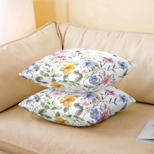 jejeloiu Hummingbird Throw Pillow Covers Set of 2 22 x 22-Inch