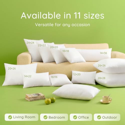 Ashler 18x18 Pillow Inserts Set of 2, Hypoallergenic Throw Pillow