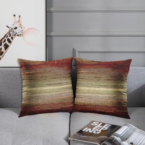 Emvency Throw Pillow Covers Set of 2, 22 x 22 Inch, Tribal Brown