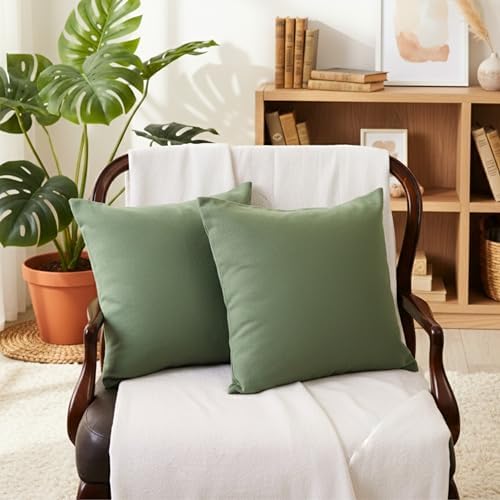 RELY+ Cotton Throw Pillow Covers 20x20 Inch Set of 2 Sage Green