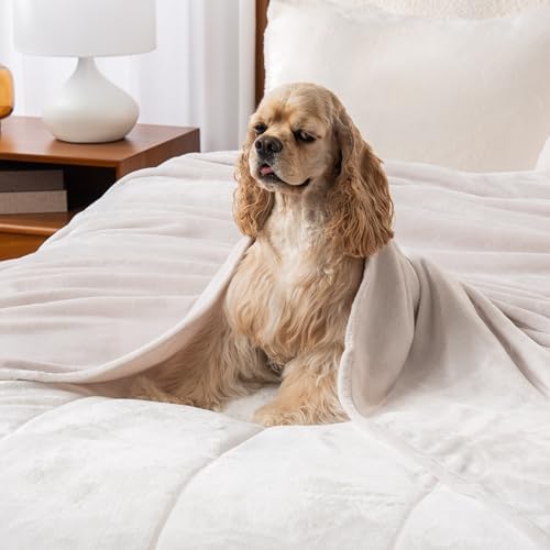 Berkshire Blanket Classic VelvetLoft® Solid Bed Blanket Queen