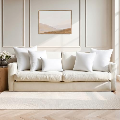 MIULEE 20x20 Pillow Inserts Set 2 100% Virgin Microfiber Soft Fabric