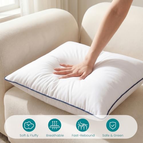 Oubonun 20 x 20 Throw Pillow Inserts Set of 2
