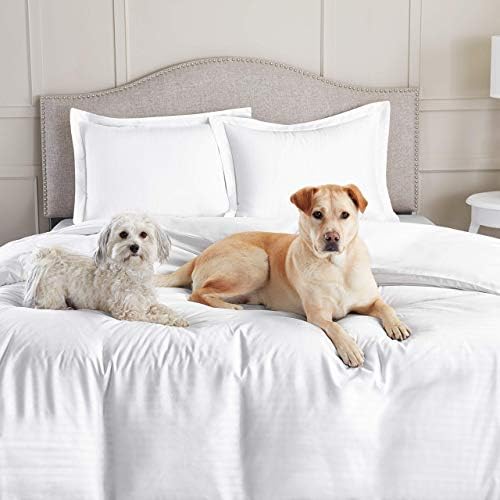 1 Piece Premium Duvet Cover Set with Zipper & Corner Ties 100%
