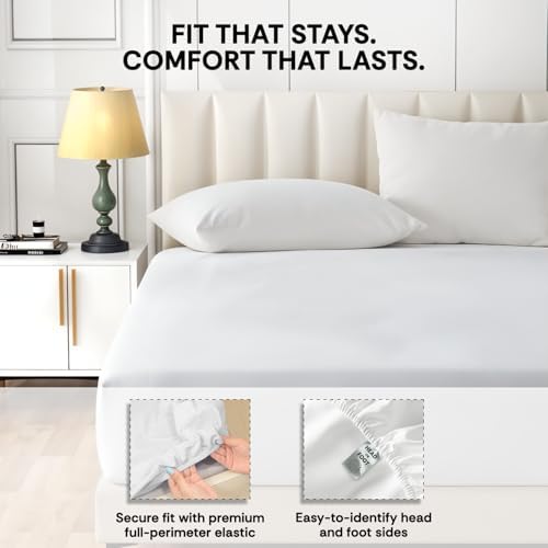 100% Egyptian Cotton California King Fitted Sheet, 800 TC, Soft, White