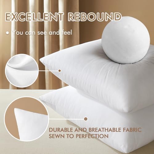 MIULEE 18x18 Pillow Inserts Set of 2, Throw Pillows for Sofa Couch Bed
