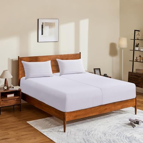 2 Pack Twin XL Fitted Sheet - 100% Egyptian Cotton 600 Thread Count