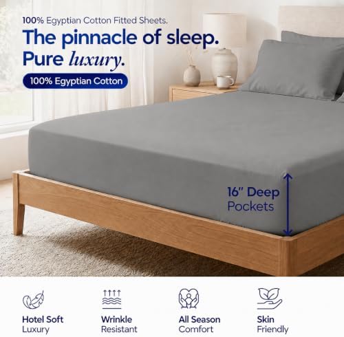 Egyptian Cotton King Fitted Sheet, Fits Upto 16" deep Pocket - Light