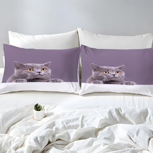 Gray Cat Duvet Cover Set PurpleBedding 3D Printed - 100% Microfiber