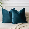 JUSPURBET 22x22 Decorative Velvet Throw Pillow Covers Set of 2,Peacock